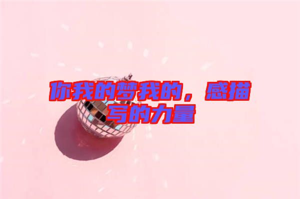 你我的夢(mèng)我的，感描寫(xiě)的力量