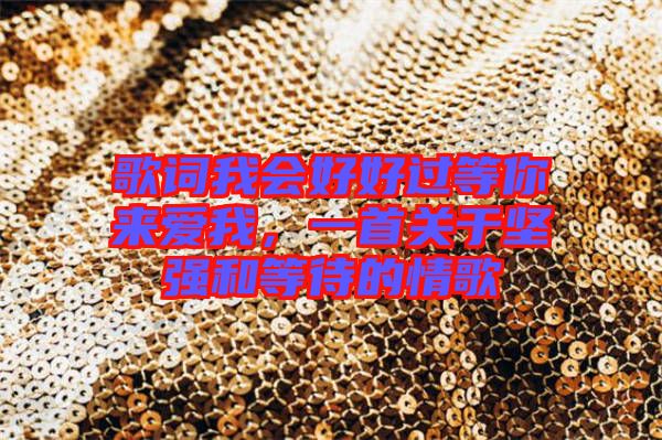 歌詞我會好好過等你來愛我，一首關(guān)于堅強和等待的情歌