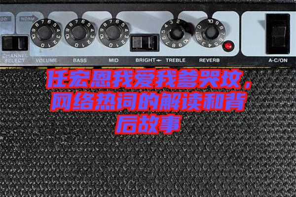 任宏恩我愛我爹哭墳，網(wǎng)絡熱詞的解讀和背后故事