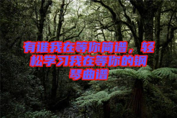 有誰我在等你簡譜，輕松學(xué)習(xí)我在等你的鋼琴曲譜