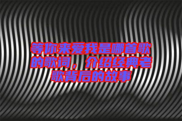 等你來愛我是哪首歌的歌詞，介紹經(jīng)典老歌背后的故事