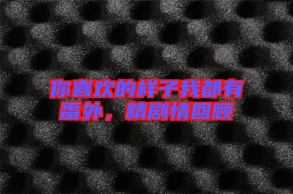 你喜歡的樣子我都有番外，精劇情回顧