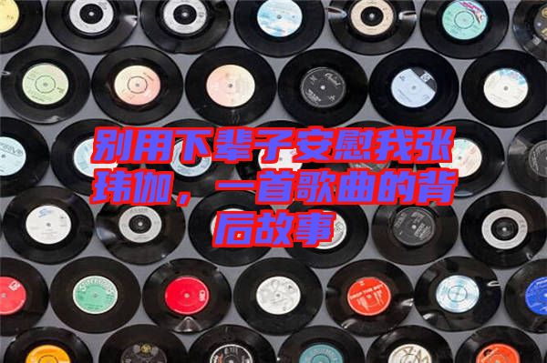 別用下輩子安慰我張瑋伽，一首歌曲的背后故事