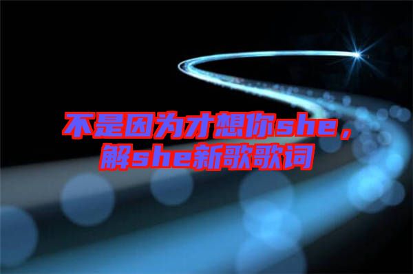 不是因?yàn)椴畔肽鉺he，解she新歌歌詞