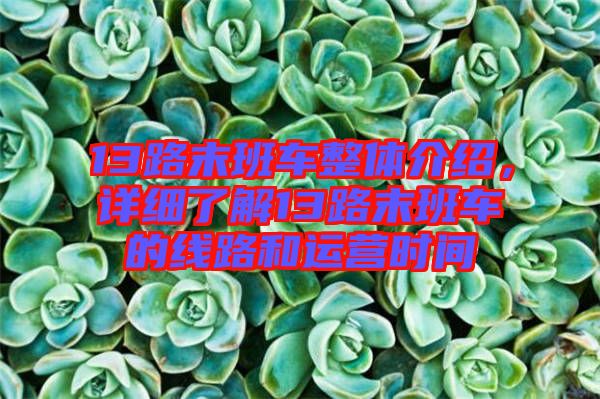 13路末班車整體介紹，詳細(xì)了解13路末班車的線路和運(yùn)營(yíng)時(shí)間
