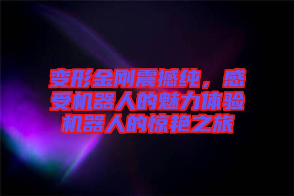 變形金剛震撼純，感受機(jī)器人的魅力體驗(yàn)機(jī)器人的驚艷之旅