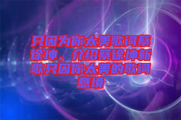只因為你太美歌詞蔡徐坤，介紹蔡徐坤新歌只因你太美的歌詞意境