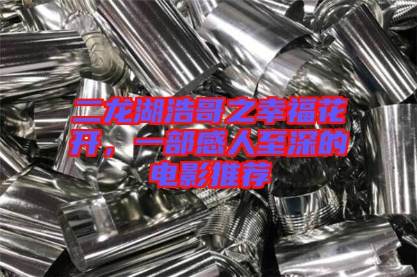 二龍湖浩哥之幸?；ㄩ_，一部感人至深的電影推薦
