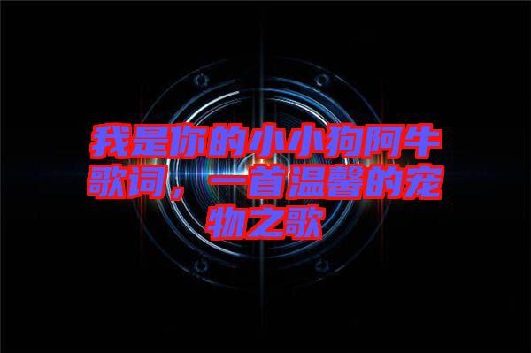 我是你的小小狗阿牛歌詞，一首溫馨的寵物之歌