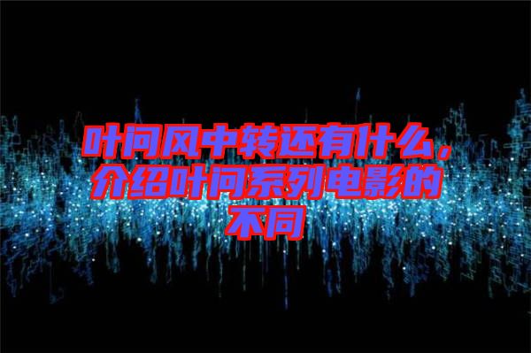 葉問風(fēng)中轉(zhuǎn)還有什么，介紹葉問系列電影的不同