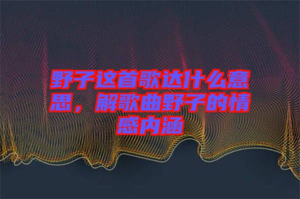 野子這首歌達什么意思，解歌曲野子的情感內涵