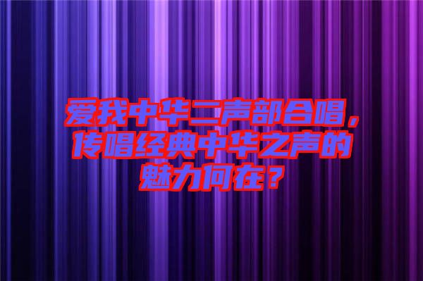 愛我中華二聲部合唱，傳唱經(jīng)典中華之聲的魅力何在？