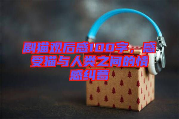 劇貓觀后感100字，感受貓與人類之間的情感糾葛