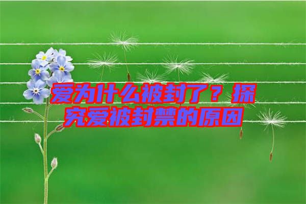 愛為什么被封了？探究愛被封禁的原因