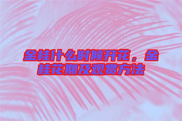 金桂什么時候開花，金桂花期及觀賞方法
