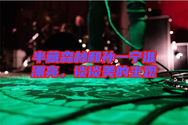 半藏森林和孫一寧誰(shuí)漂亮，談?wù)劽赖闹饔^