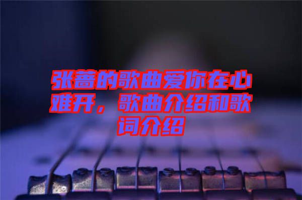 張薔的歌曲愛你在心難開，歌曲介紹和歌詞介紹