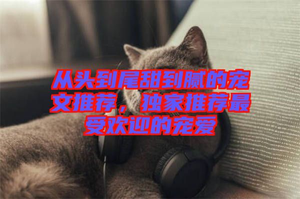 從頭到尾甜到膩的寵文推薦，獨家推薦最受歡迎的寵愛