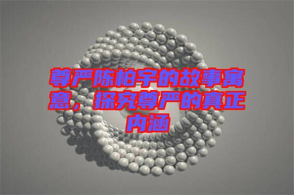 尊嚴陳柏宇的故事寓意，探究尊嚴的真正內(nèi)涵