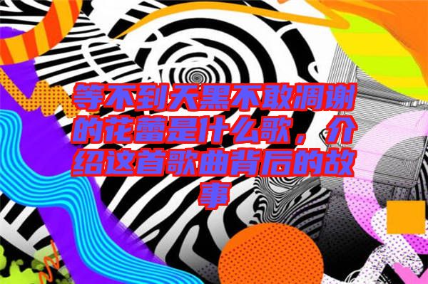 等不到天黑不敢凋謝的花蕾是什么歌，介紹這首歌曲背后的故事
