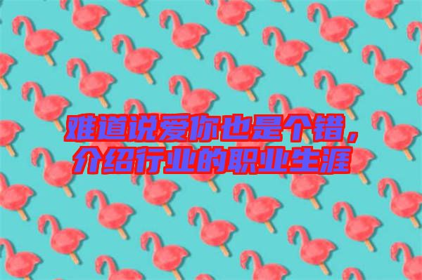 難道說愛你也是個錯，介紹行業(yè)的職業(yè)生涯