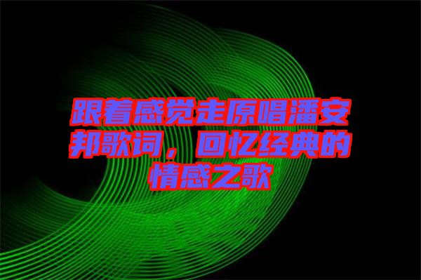跟著感覺走原唱潘安邦歌詞，回憶經(jīng)典的情感之歌