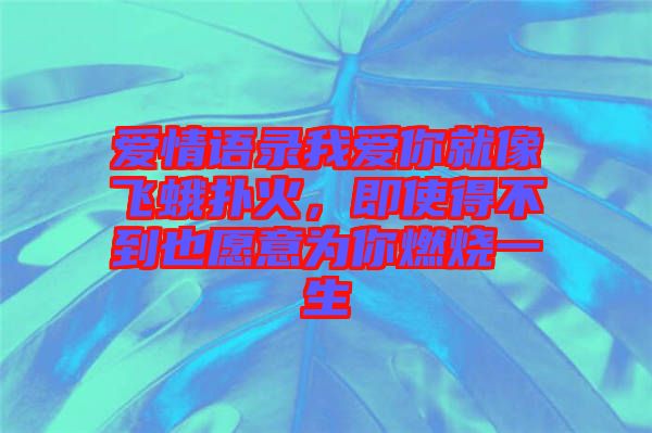 愛(ài)情語(yǔ)錄我愛(ài)你就像飛蛾撲火，即使得不到也愿意為你燃燒一生