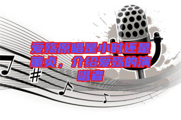 愛殤原唱是小時(shí)還是董貞，介紹愛殤的演唱者