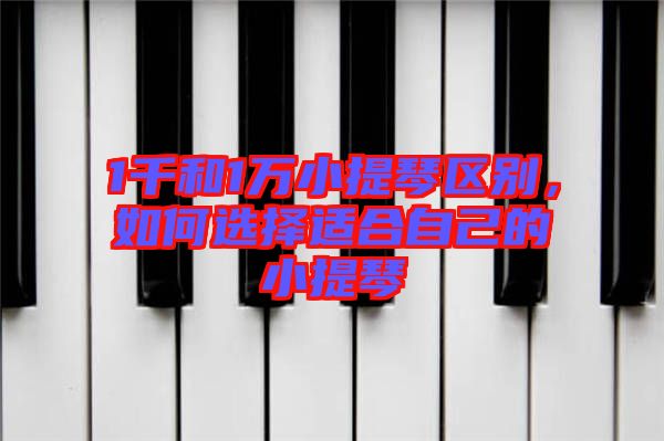 1千和1萬小提琴區(qū)別，如何選擇適合自己的小提琴