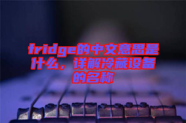 fridge的中文意思是什么，詳解冷藏設(shè)備的名稱