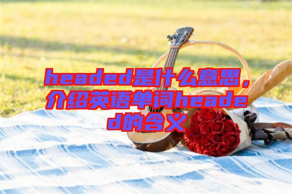 headed是什么意思，介紹英語(yǔ)單詞headed的含義