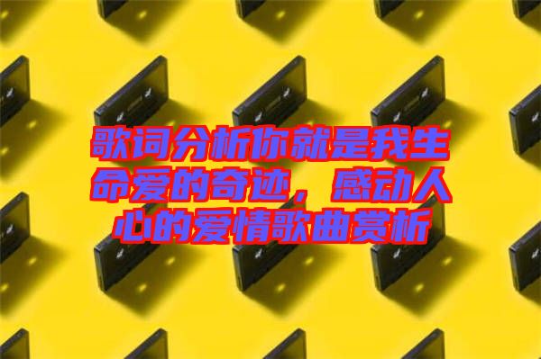 歌詞分析你就是我生命愛的奇跡，感動人心的愛情歌曲賞析