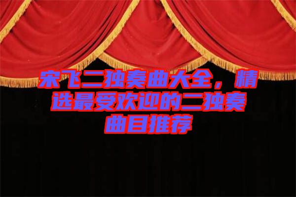 宋飛二獨奏曲大全，精選最受歡迎的二獨奏曲目推薦