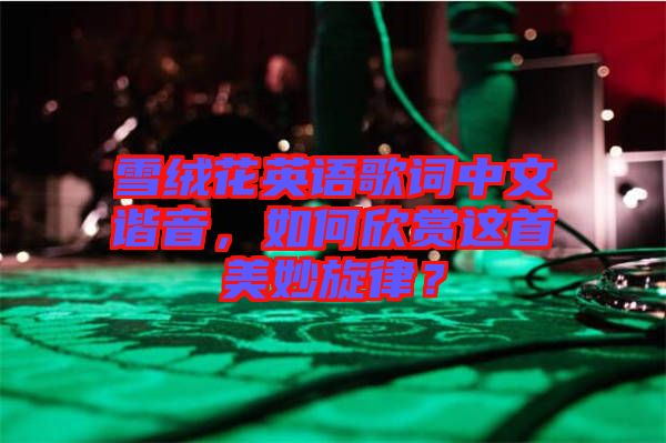 雪絨花英語歌詞中文諧音，如何欣賞這首美妙旋律？