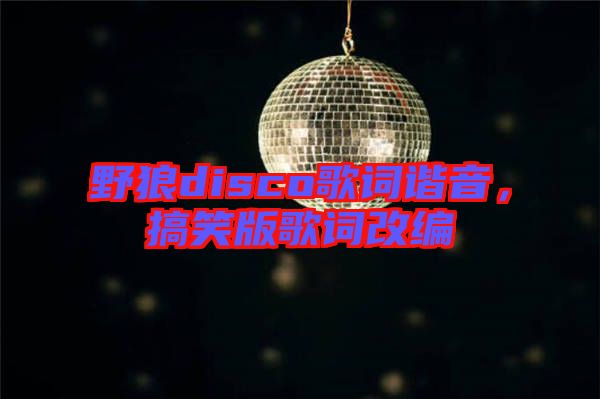 野狼disco歌詞諧音，搞笑版歌詞改編